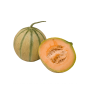 Farmer Bitter Gourd Seed