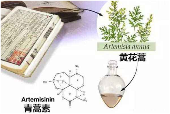 华体会注册,华体会(中国)：向中医药看齐，与世界共享中医药文化(图1)